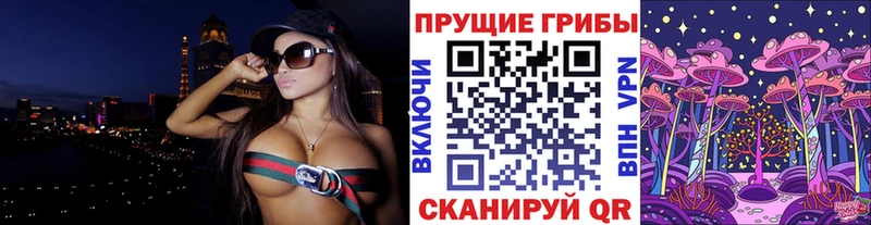 Псилоцибиновые грибы прущие грибы  Велиж 